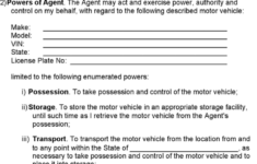 15 Power Of Attorney Forms For California Print Paper