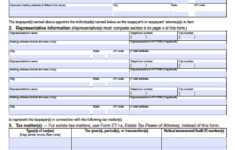 6 INFO POWER OF ATTORNEY FORM IN NEW YORK STATE ZIP DOC