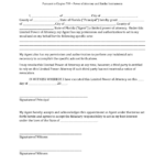 Download Florida Special Limited Power Of Attorney Form