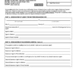 Durable Power Of Attorney Form PDF Format E Database