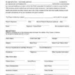 FREE 8 Sample Medical Power Of Attorney Forms In MS Word
