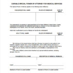 FREE 8 Sample Special Power Of Attorney Forms In PDF MS