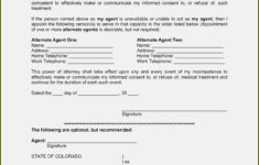 Free Blank Printable Medical Power Of Attorney Forms