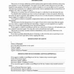 Free Fillable Montana Power Of Attorney Form PDF Templates