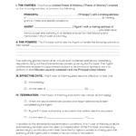 Free Florida Limited Power Of Attorney Form Word PDF