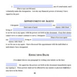 Free Michigan Power Of Attorney Forms PDF Templates