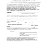 Free Minnesota Motor Vehicle Power Of Attorney Form PDF