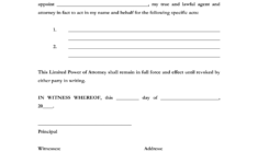 Free New York Limited Power Of Attorney Form PDF Word