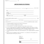 Free Texas Limited Power Of Attorney Form For Tax Audits