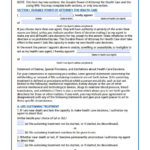 New Hampshire Medical Power Of Attorney Form Power Of