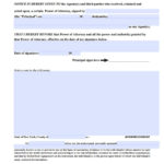 New York General Financial Power Of Attorney Form Power
