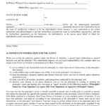 Nys Power Of Attorney Form 2010 Pdf