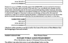 Power Of Attorney For A Minor Child Free Download