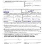 Power Of Attorney Form 8821 IRS Form 11 Tax Information