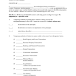 Tennessee Power Of Attorney Form Free Templates In PDF